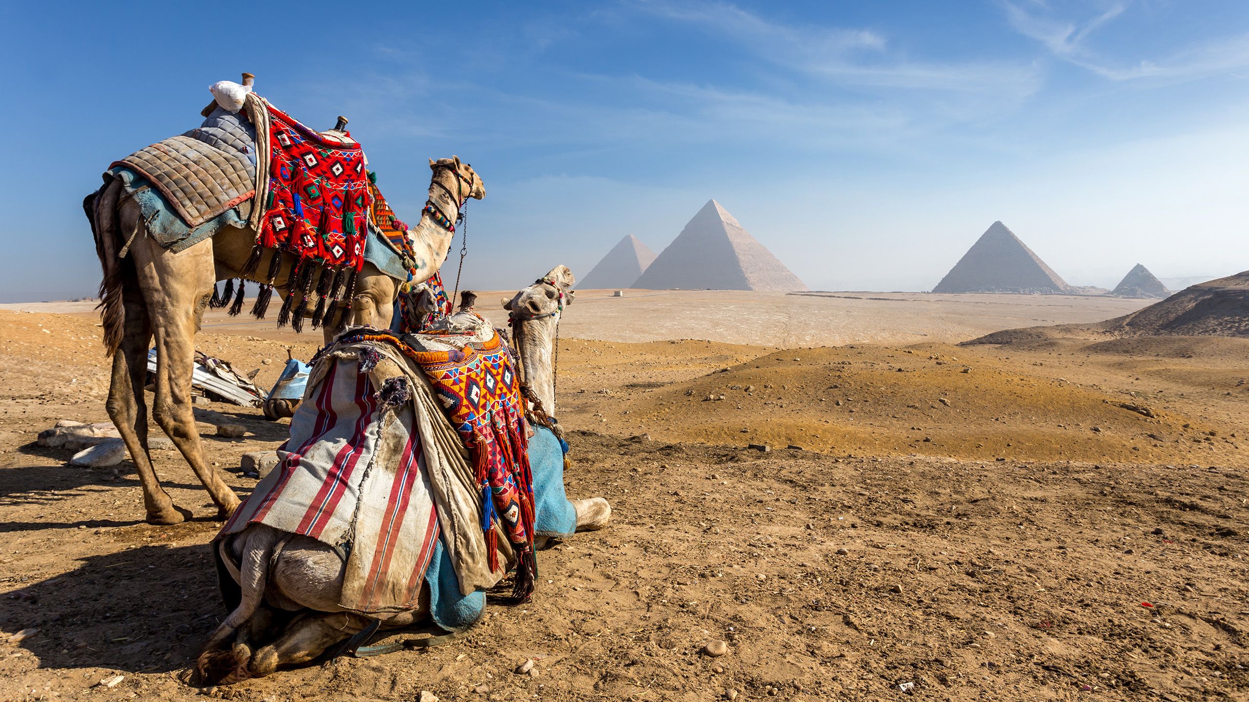 Pyramids in Egypt