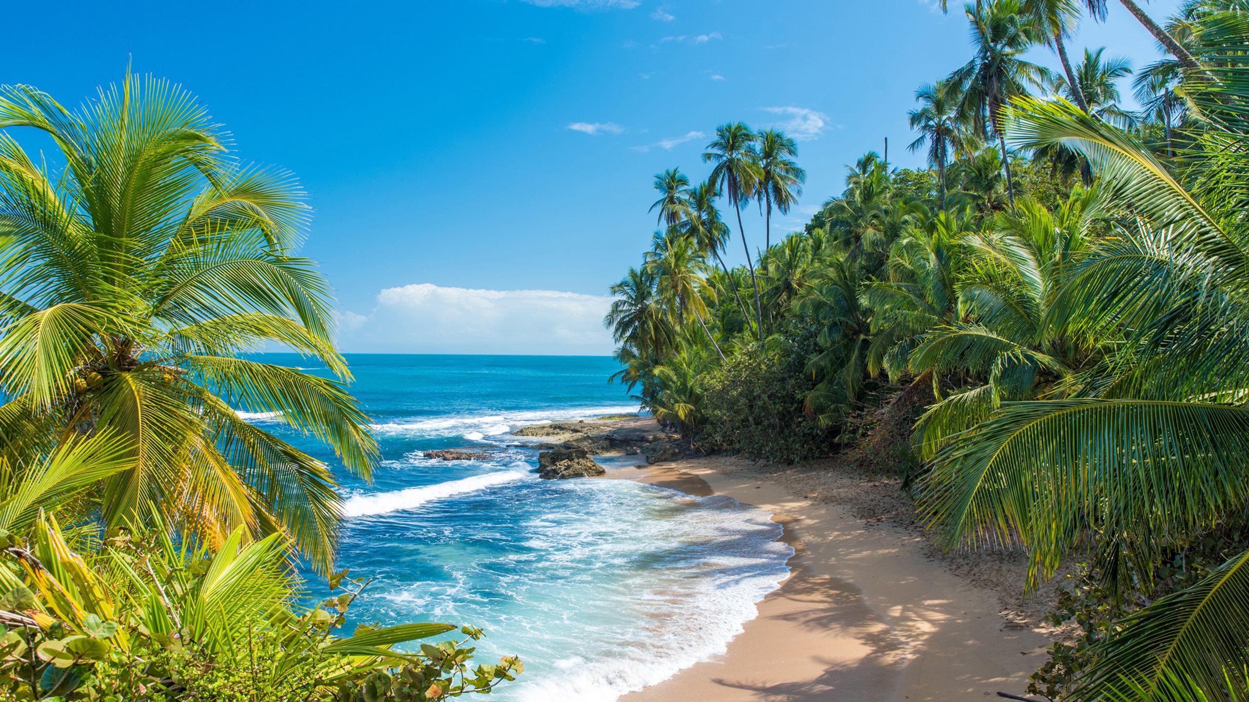 Caribbean beach