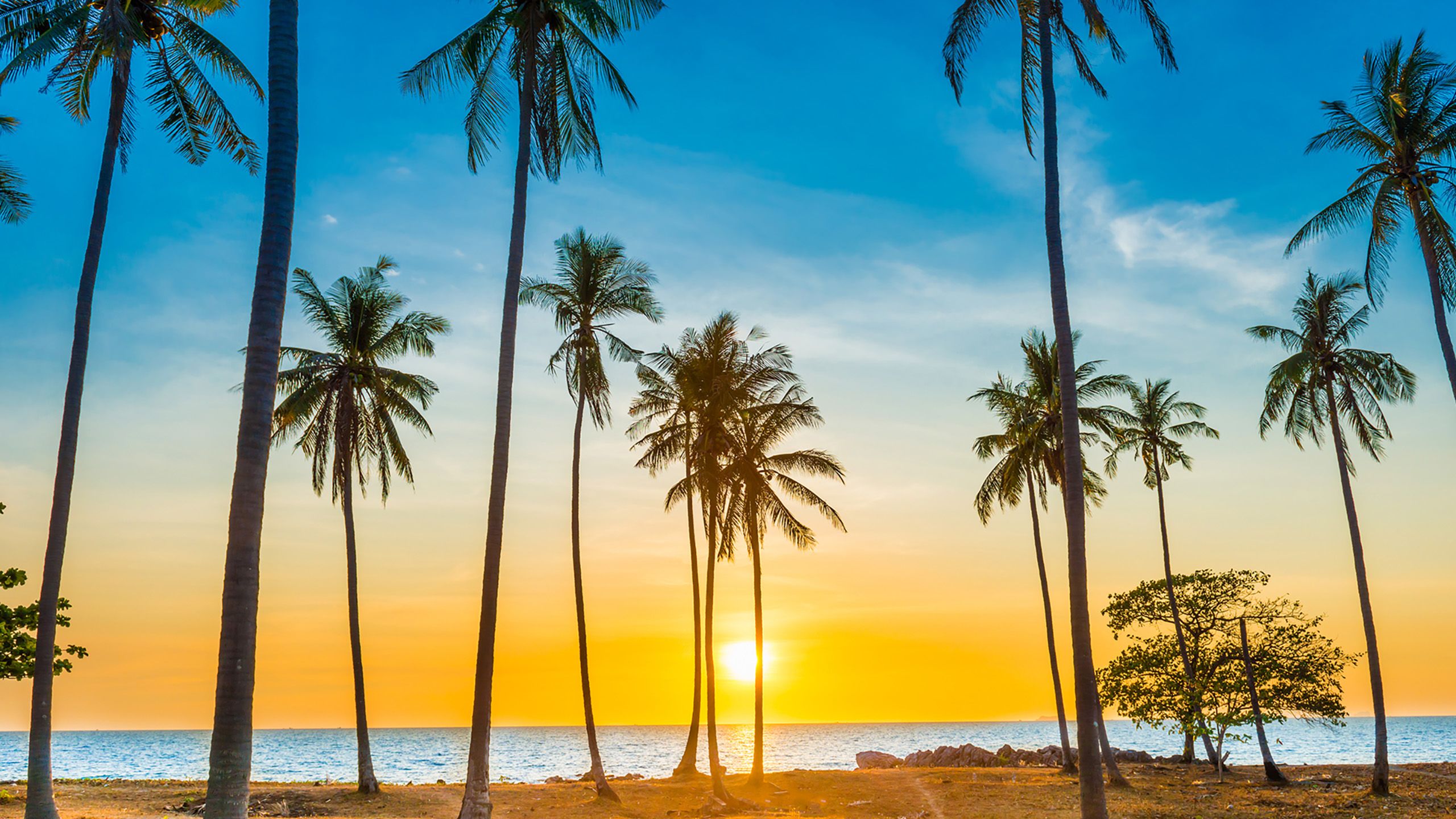 Caribbean beach at sunset