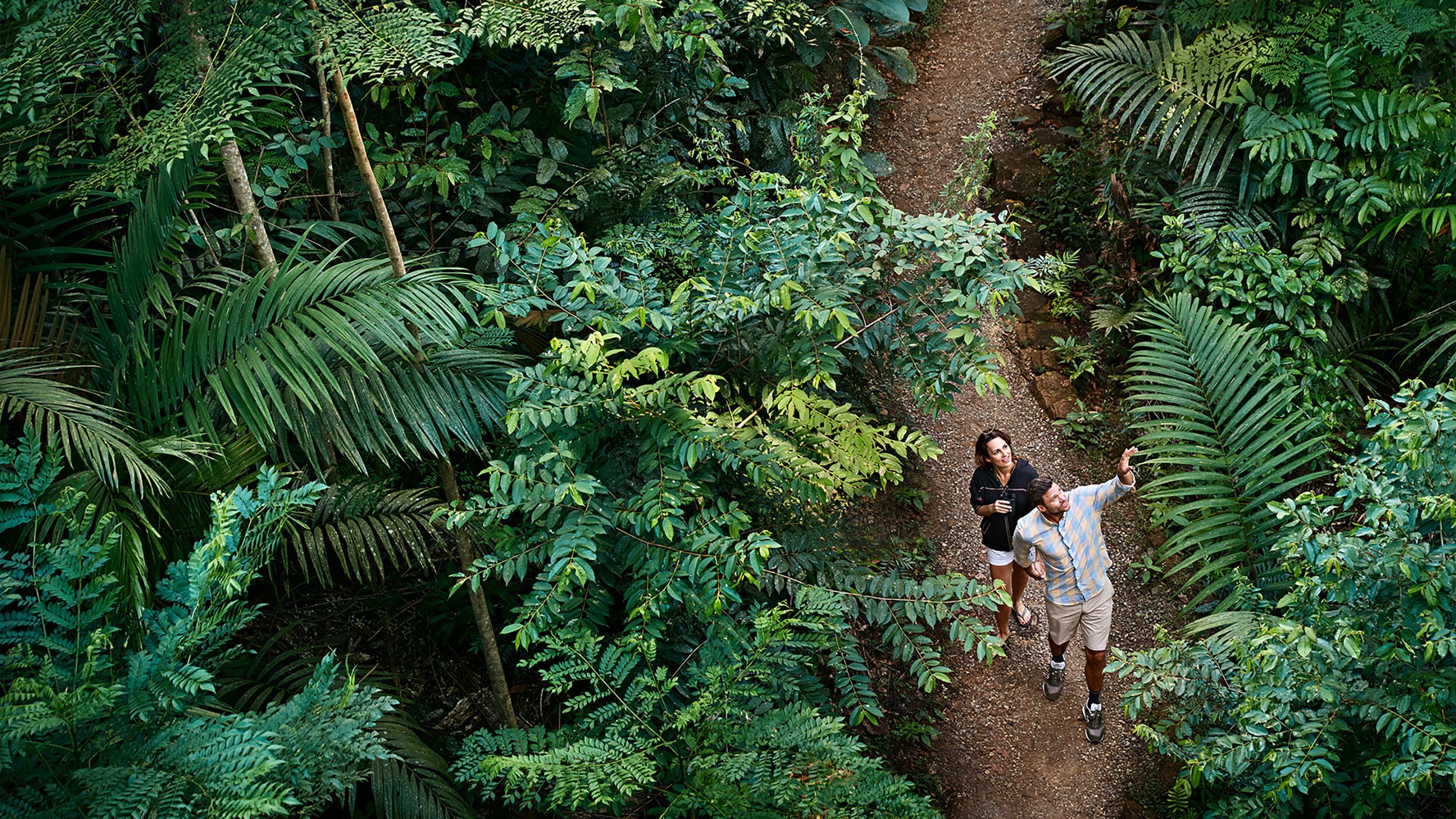 Visitors walking though rainforest in Panama