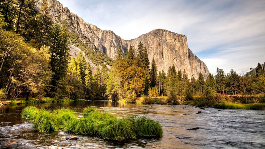 Yosemite National Park