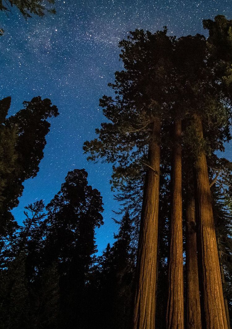 Sequoia National Park
