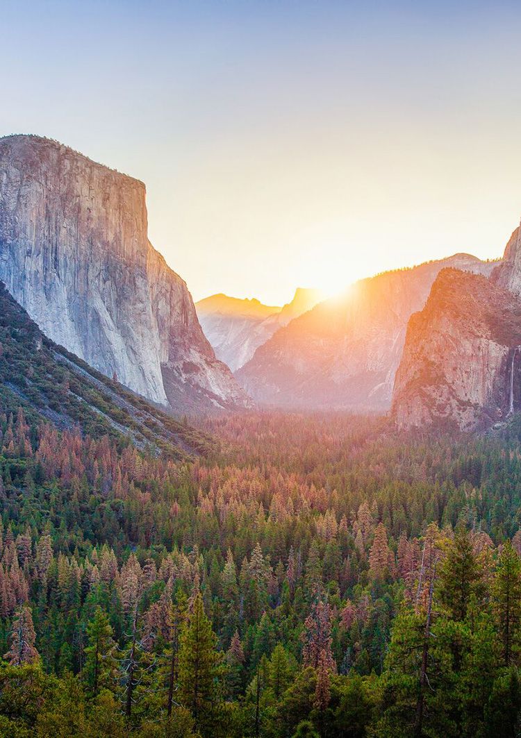 Yosemite National Park