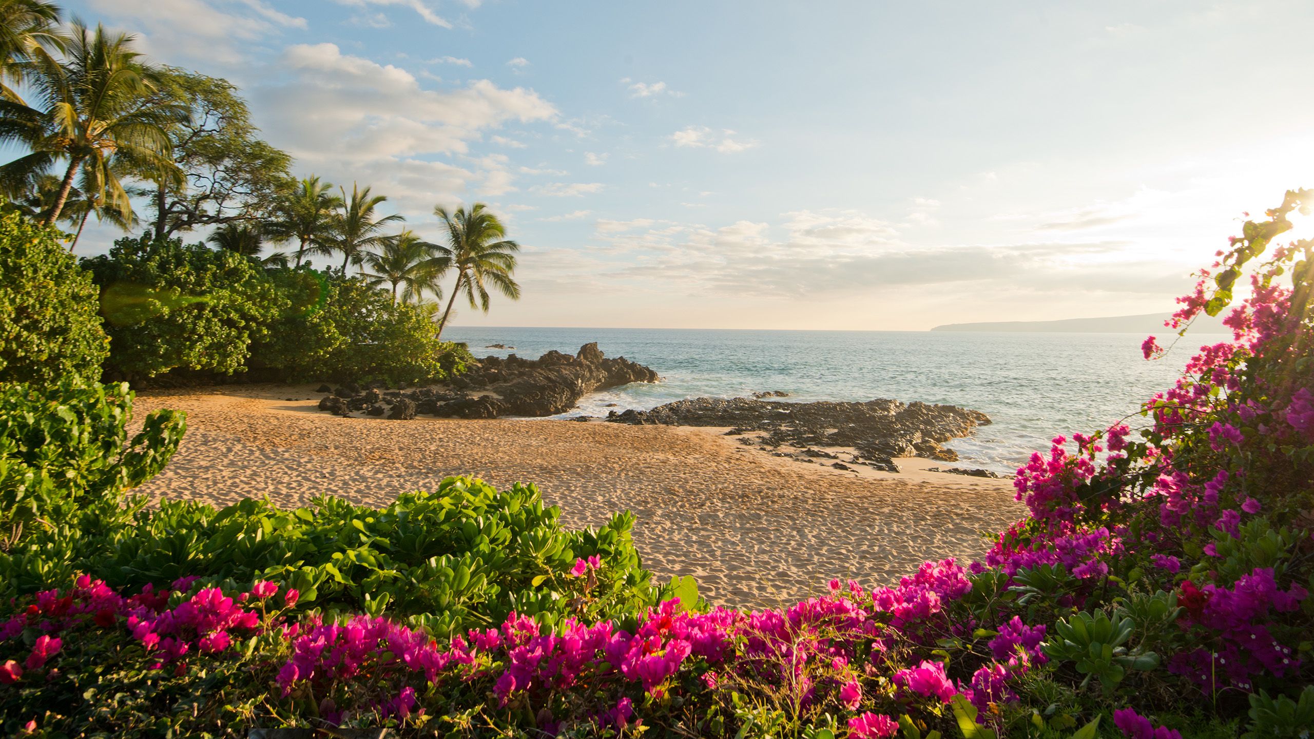Maui beach